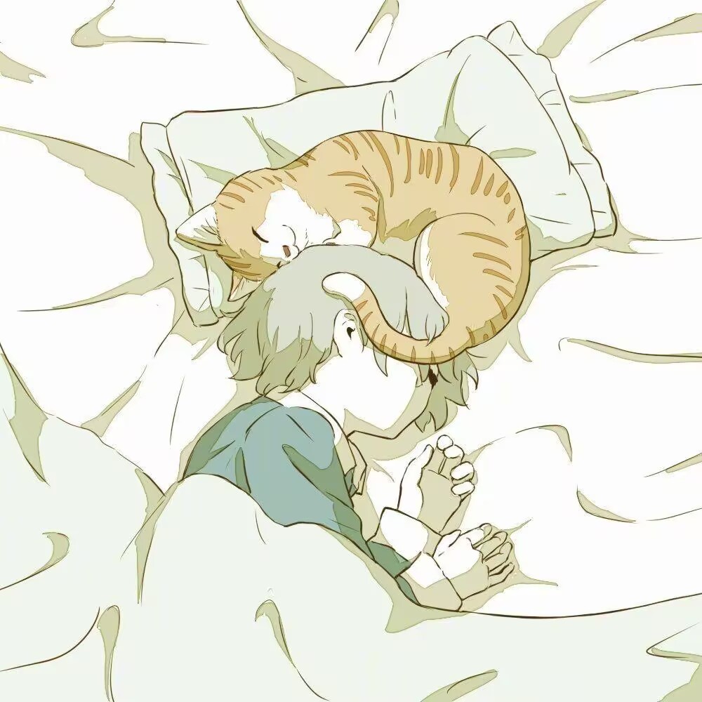 年智斌